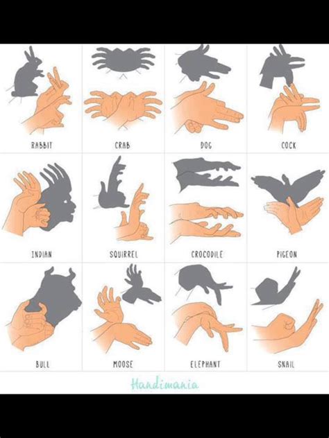 How To Make Cool Hand Shadow Puppets - Musely