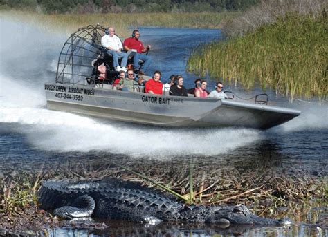 Boggy Creek Airboat Rides | Airboat rides, Airboat, Attractions in orlando