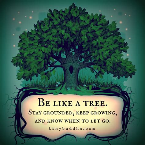 Be Like a Tree - Tiny Buddha