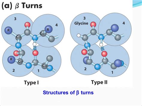 Fibrous proteins