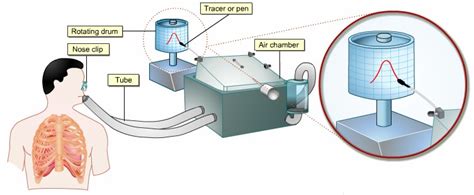 BIOLOGY FORM 6: Lung volume