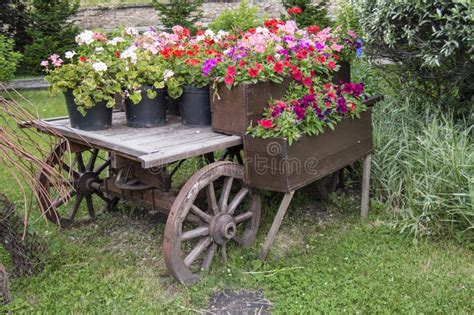 1,832 Old Wooden Wheelbarrow Stock Photos - Free & Royalty-Free Stock ...