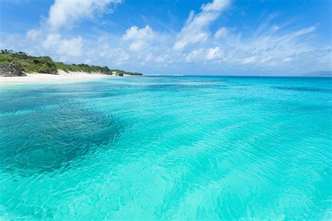 Crystal clear blue lagoon water of Tropical Japan | Beautiful beaches, Caribbean beaches ...