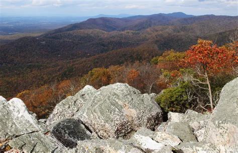 15 Beautiful Hiking Trails Near Charlottesville, Virginia