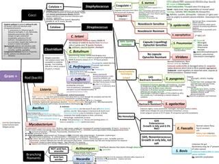 Microbiology flowchart.pdf