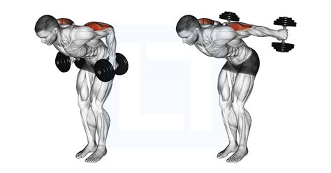 Dumbbell Standing Kickback - Guide, Benefits, and Form