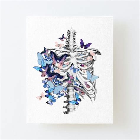 rib cage and blue butterflies, ribcage, human skeleton art, rib cage,skeleton,butterflies ...