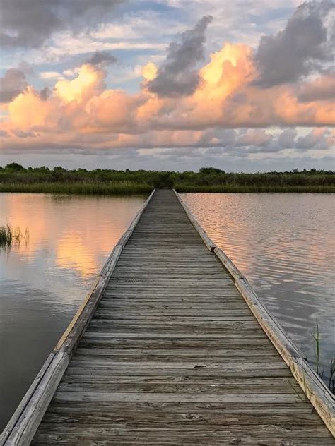 Guide to Galveston Island State Park | Visit Galveston