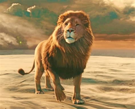 The Lion Of Narnia