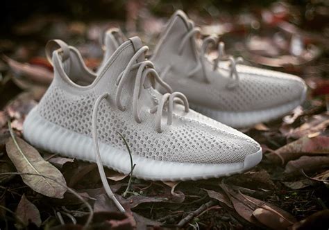 Are These the adidas Yeezy Boost 350 V3's? - WearTesters