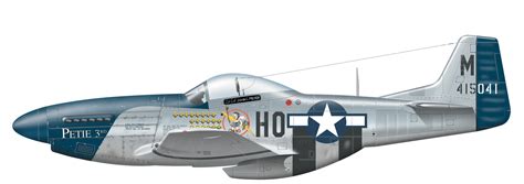 P-51D PAINT SCHEMES!!! - DCS: P-51D Mustang - ED Forums