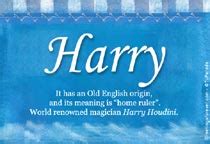 Harry Name Meaning - Harry name Origin, Name Harry, Meaning of the name ...