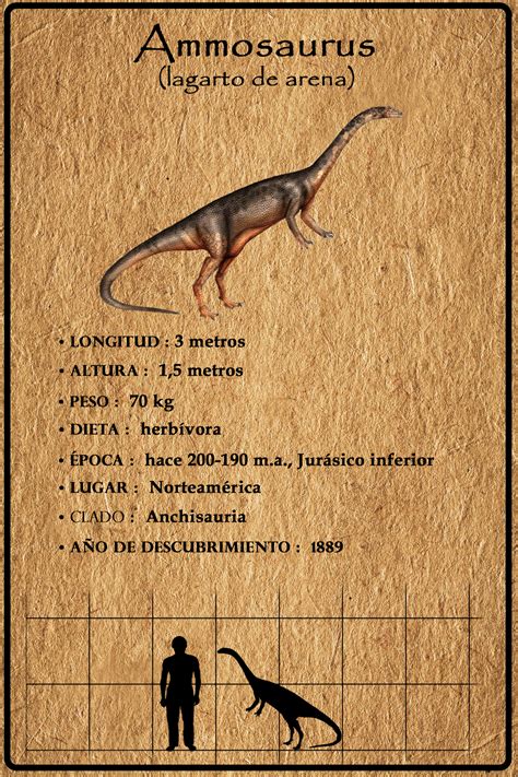 59-Ammosaurus info A-Z book proyect. ╬ chimmysaurus ╬ Jurassic World, Jurassic Park, Dinosaur ...