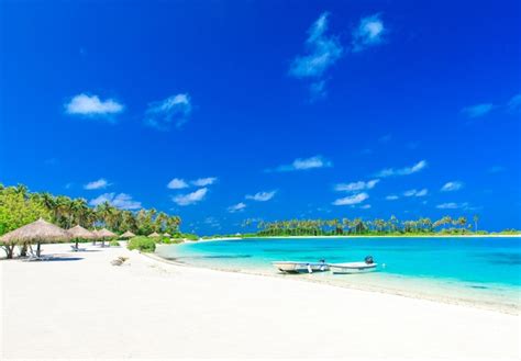 Premium Photo | Tropical beach in maldives