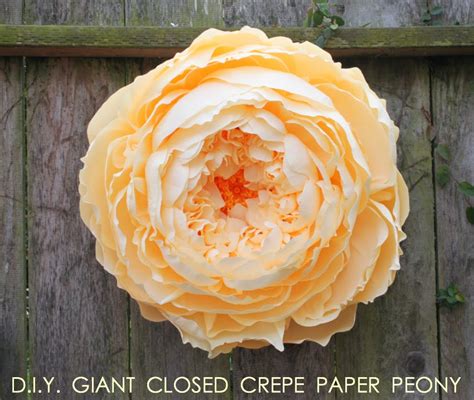 Wonderful DIY Flower: Giant Crepe Paper Peony - Truly Hand Picked