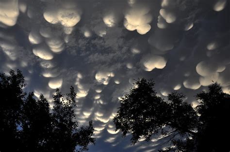 Cotton Ball Clouds 9 | these are know has mammatus clouds | Hartland Jessome | Flickr