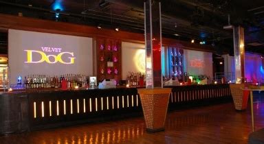 » J.R. in Cleveland: An Ohio Nightlife Guide for the Famous NYC Party Animal