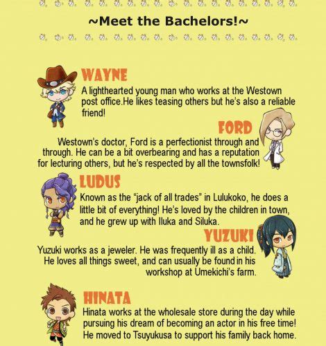 Ladiesgamers.com | Introducing the bachelors of Story of Seasons Trio ...