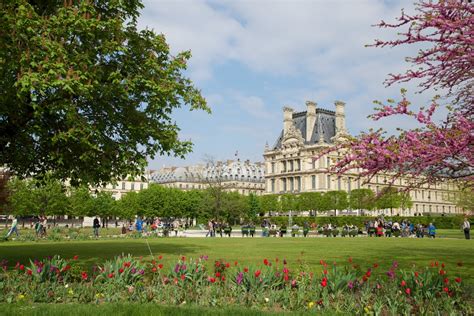 Musee du Louvre as Seen From Tuileries Gardens Paris France ...