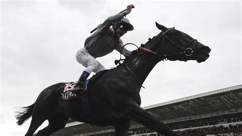 Treve and Black Caviar top the Longines World Rankings | Racing News | Sky Sports