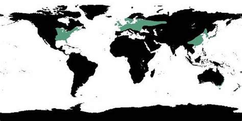 Temperate Rainforest World Map - United States Map