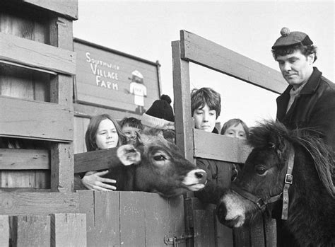 Samson, one of two Shetland Ponies appearing in Sunderland Empire ...