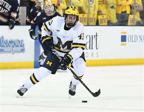 TheWolverine - Michigan Wolverines Hockey Season Ends In Minnesota