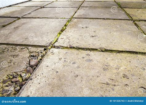 1,960 Old Broken Floor Tiles Stock Photos - Free & Royalty-Free Stock ...