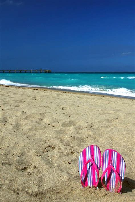 Hot Pink Flip Flops on the Beach Stock Photo - Image of jelly, fashion: 49919028