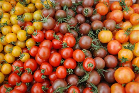 Mixed Medley Cherry Tomatoes - C & L Produce