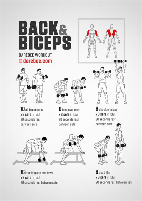 back and biceps workout - Sincere Hand