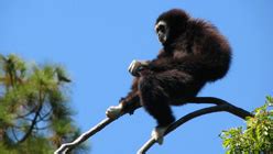 Oakland Zoo Expansion | KQED