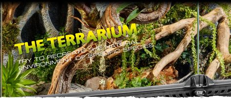 Terrarium Types - Exo Terra