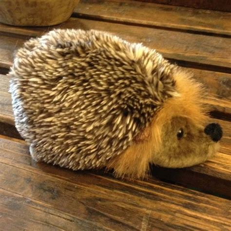 Hedgehog Soft Toy 18cm