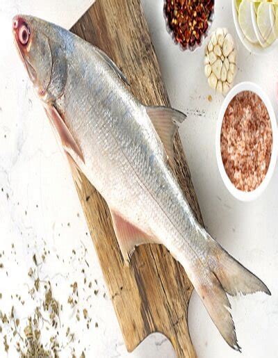 Ravas Fish Online (रावस) / Indian Salmon -500g - Freshprotino