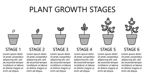 Plant Growth Chart Template