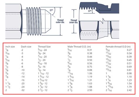 JIC Hydraulic Fittings - Hydraxio: China SS Hydraulic Fittings ...