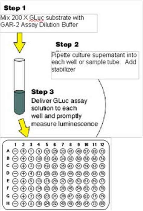 Targeting Systems || Products - Drug Discovery - Luciferase Assay Reagents