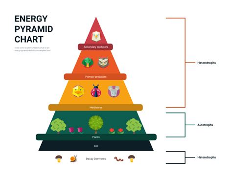 How to Create a Stunning Pyramid Chart in 5 Steps - Venngage