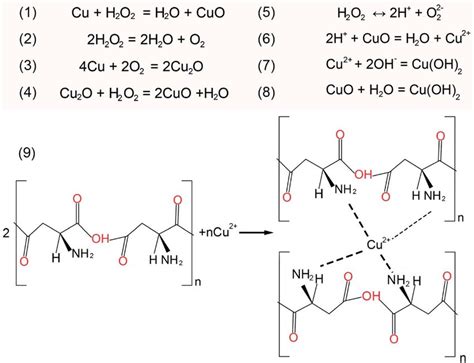 The chemical reaction equations during CMP. | Download Scientific Diagram