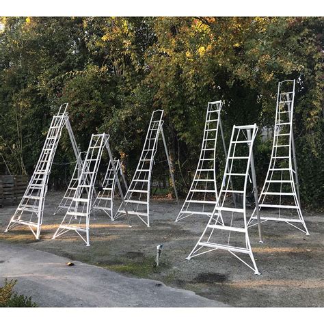 Hasegawa Ladders | donyaye-trade.com