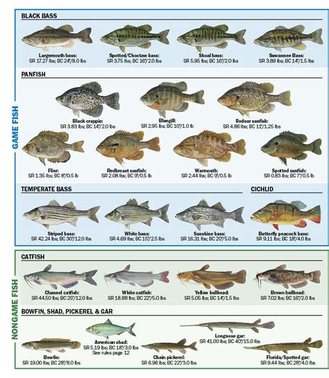 Freshwater Fish of Florida - Florida Freshwater Fishing | eRegulations