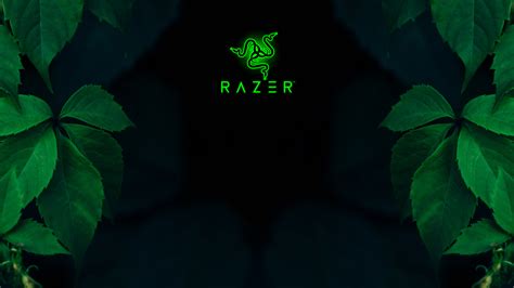 Green Razer Wallpapers - Top Free Green Razer Backgrounds - WallpaperAccess