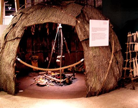 lenape wigwam | Native american projects, Native american life, Eastern woodlands indians