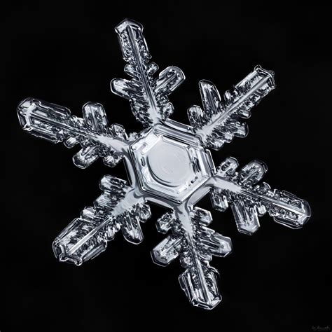 Sign in | Snowflake images, Snowflakes, Crystals