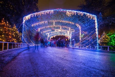 Where to see Christmas lights in Austin and Central Texas in 2022