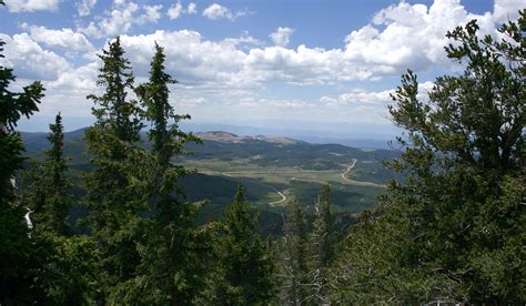 RMEF & Partners Grant $1.3 Million for Colorado Elk Habitat | Perfect Union