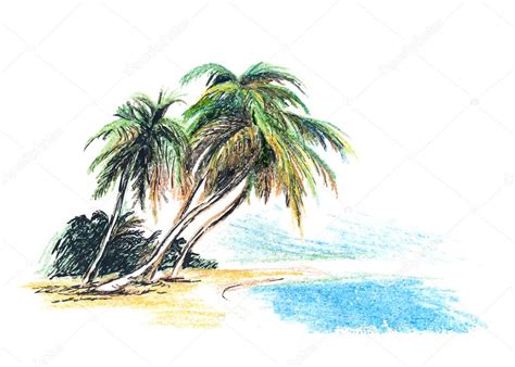 Palm Tree Beach Drawing at GetDrawings | Free download