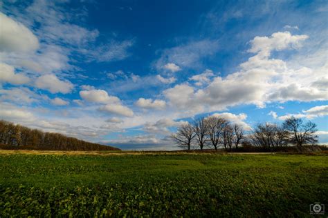 Autumn Rural Landscape Background - High-quality Free Backgrounds