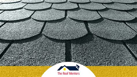 Shingle Roof Maintenance Tips | The Roof Mentors